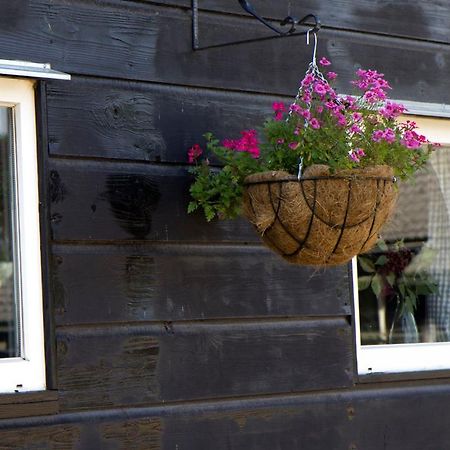 De Schaapskooi - Knus Veluws Vakantiehuisje Ede Exteriér fotografie